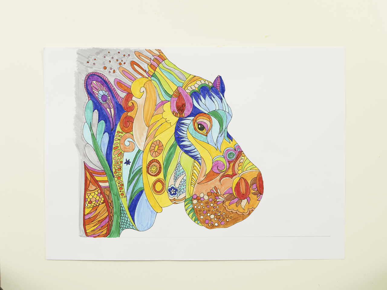 Happy-Hippo_colourfull