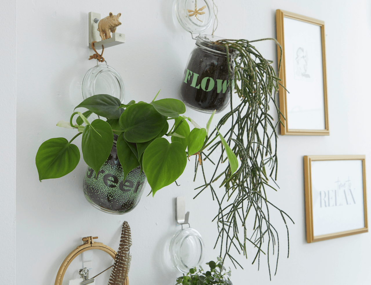 Image for variant 1051074